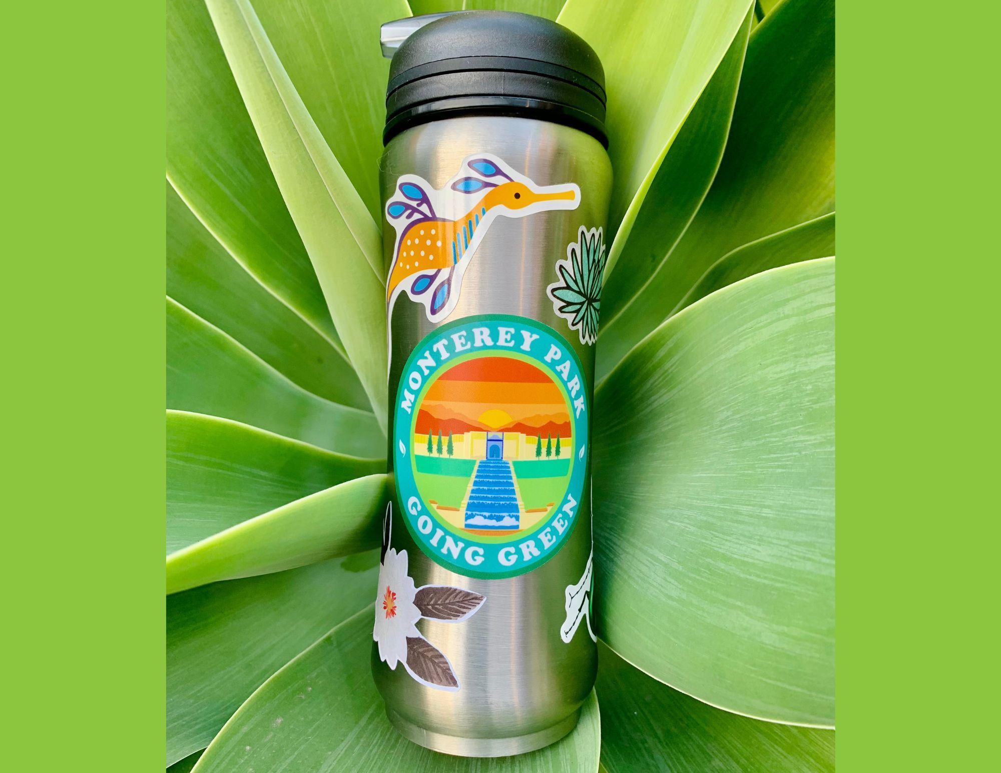 Reusable Water Bottle