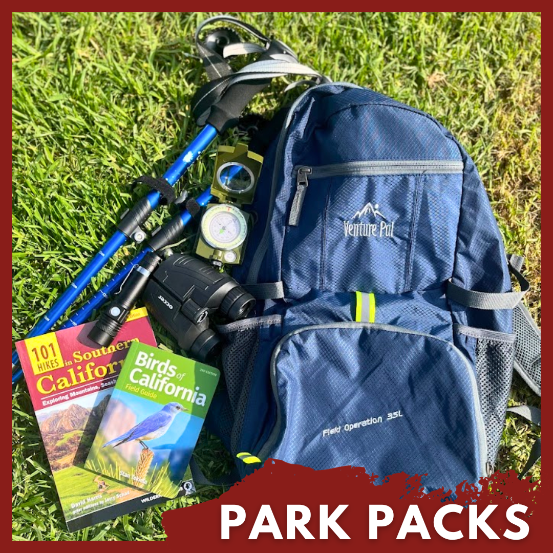 Backpack, hiking poles, guidebooks, binoculars, compass and flashlight displayed on the grass.
