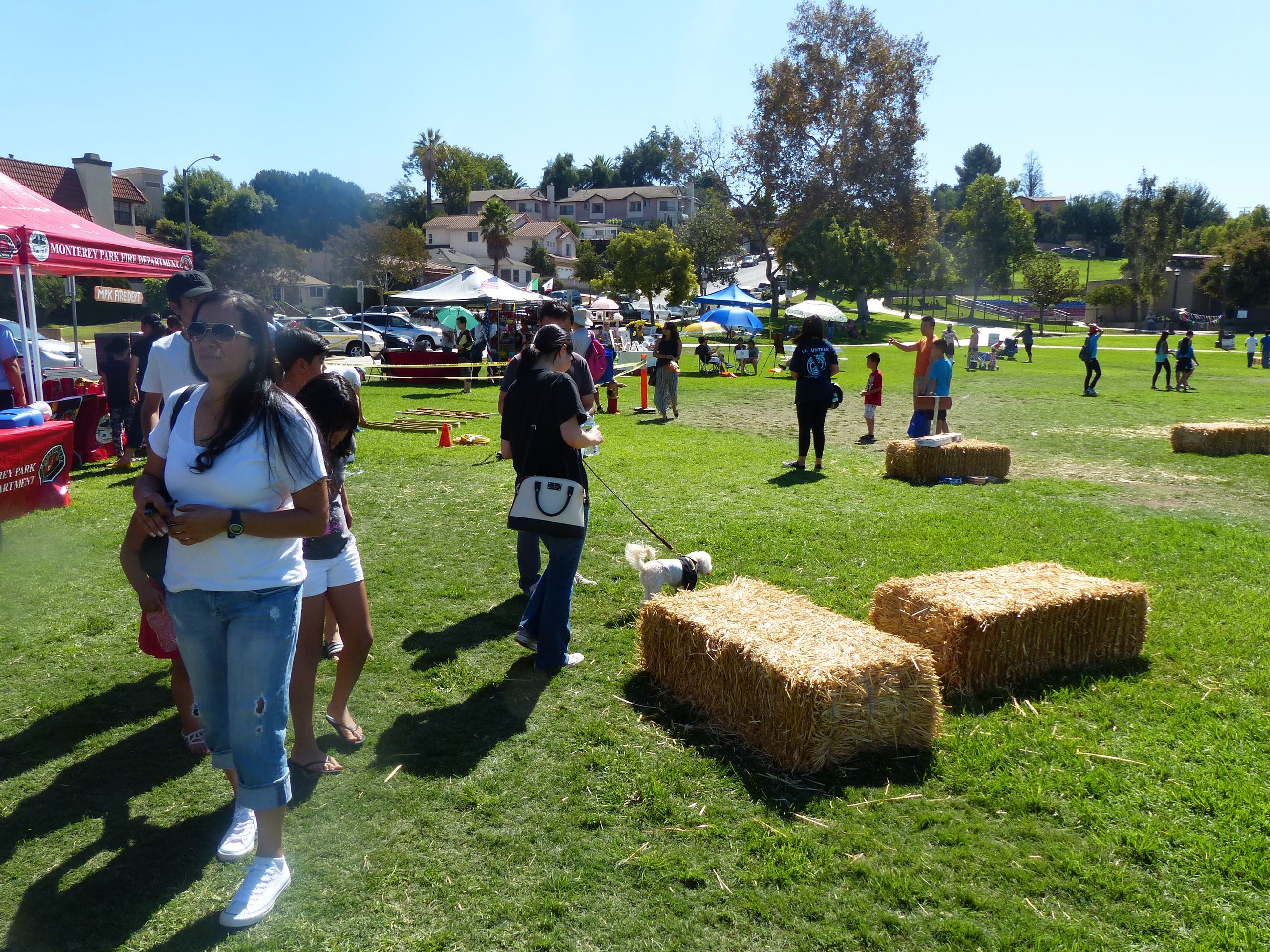 Geranium Festival 2016 (465)